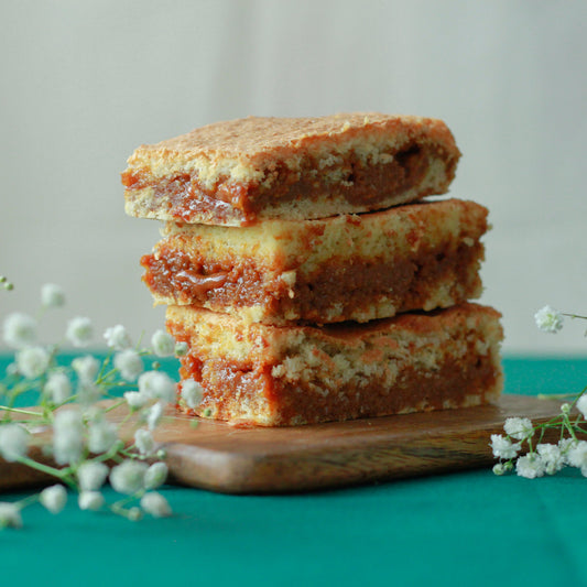 Cuadrado de Coco y Dulce de Leche